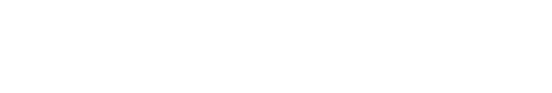 The Wire Inc.